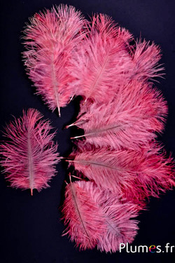 Strauss Bellies - 8-13 cm - altrosa